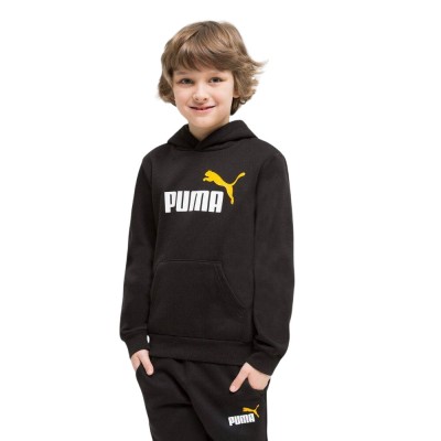 Puma ESS+ 2 Col Big Logo Hoodie FL (586987 54)