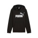 Puma ESS+ 2 Col Big Logo Hoodie FL (586987 60)