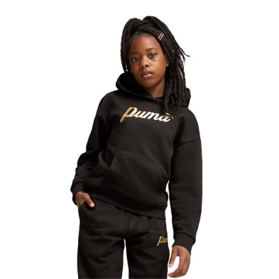 Puma ESS+ SCRIPT Metallic Hoodie FL G (682780 01)