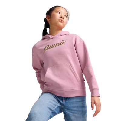 Puma ESS+ SCRIPT Metallic Hoodie FL G (682780 48)