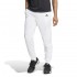 Adidas WALK ON PANTS (IT2266)